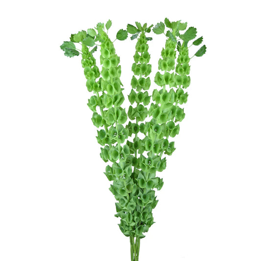 Green Bells of Ireland