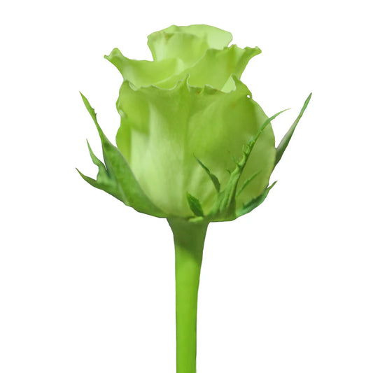 Súper verde