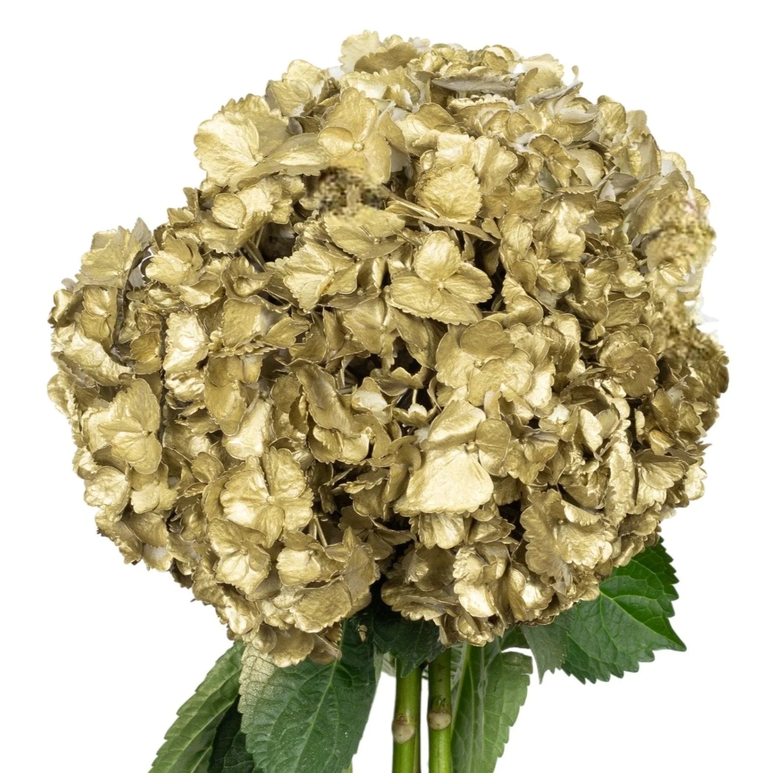 Gold Flowers