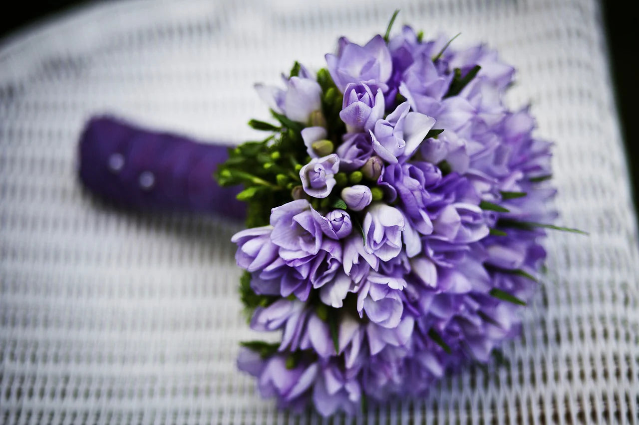 Spring Theme