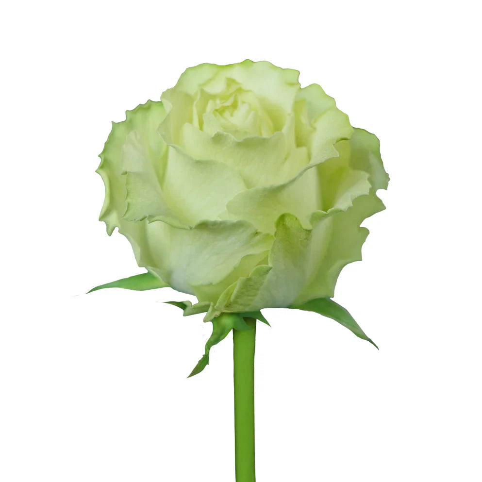 Green Flowers