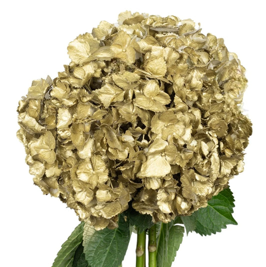 Metallic Gold Hydrangea