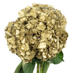 Metallic Gold Hydrangea
