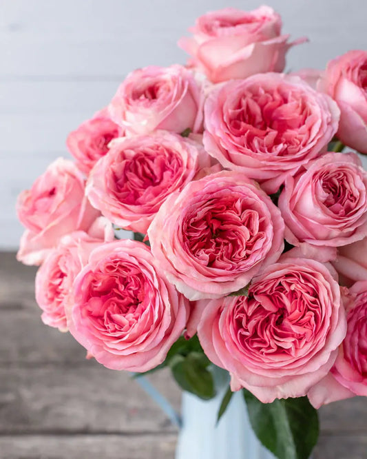 Pink Expression