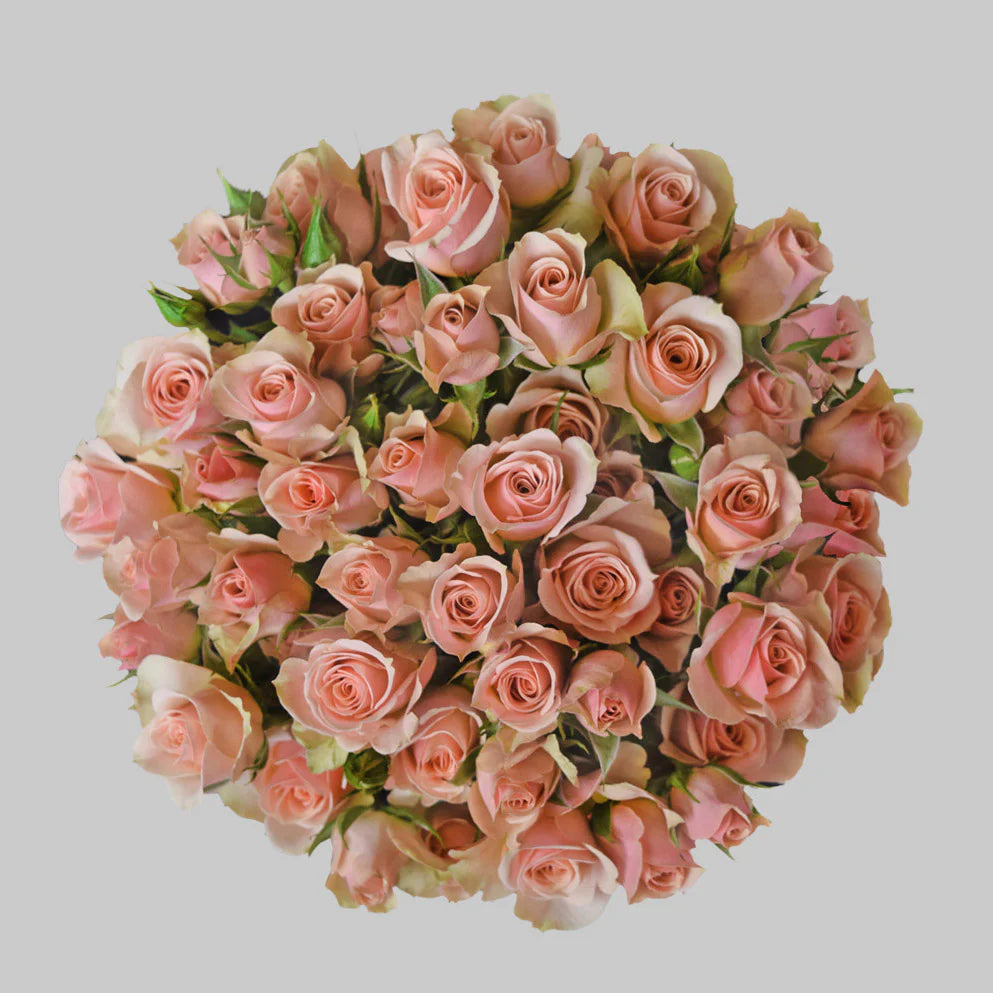 Islander Designs Roses Hd Beautiful Isle Spray Roses – Pop Wedding Flowers