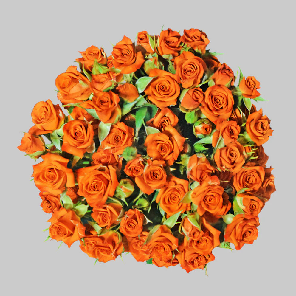 Orange Neoorange Spray Roses