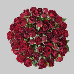 Red Rubyred Spray Roses