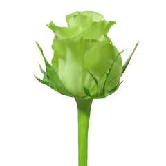Súper verde